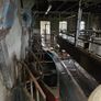 Milking Parlour Equipment Image 5