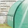 Polytunnel Greenhouse Image 8