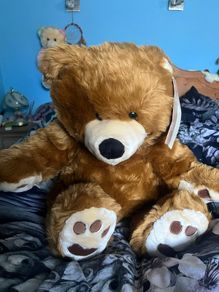 teddies