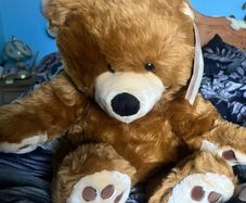 teddies