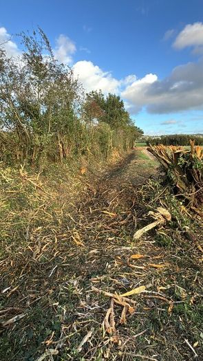 Mulcher and tree shears