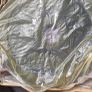 Set of 2x10kg Olympic waight discs total waight 20kg Image 2