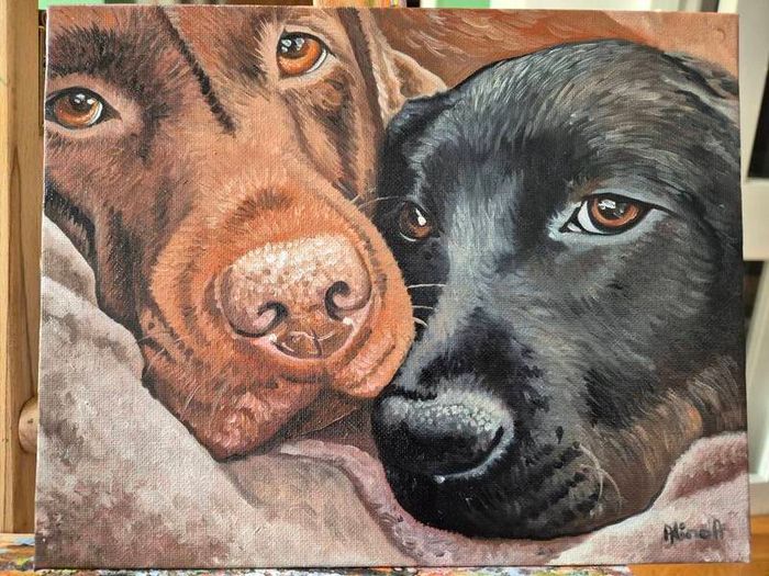 Black & Chocolate Labrador - oil painting