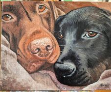 Black & Chocolate Labrador - oil painting