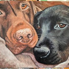 Black & Chocolate Labrador - oil painting