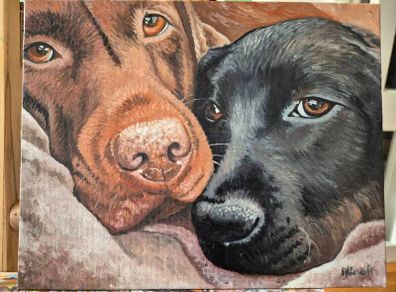 Black & Chocolate Labrador - oil painting