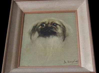 Beautiful Vintage Pekingese Dog Portrait Signed