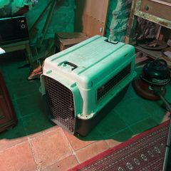 Large dog crate L90, dog carrier.  Dun Laoghaire