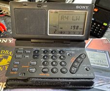Sony Icf-sw100e