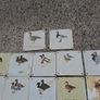 37 X Mid Century Avian Metal Display Plaques Image 8