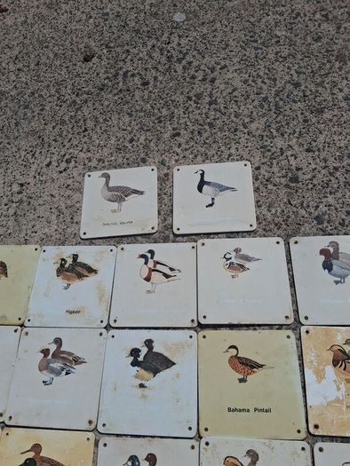 37 X Mid Century Avian Metal Display Plaques