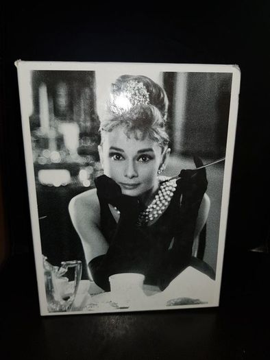 Audrey Hepburn Special Collection Box Set VHS 2000