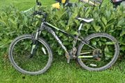 26 in bike
