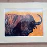Four Simon Stevenson Safari Prints Image 2
