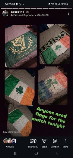 Irelamd flags for the match 6 to choose from