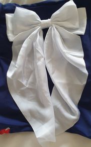 Hair  Bow
