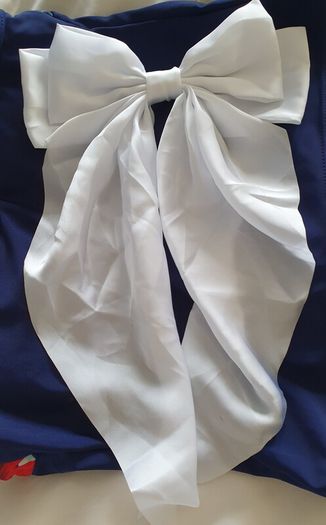 Hair  Bow
