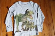 Age 7 NEXT Dinosaur Top