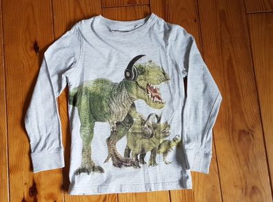 Age 7 NEXT Dinosaur Top