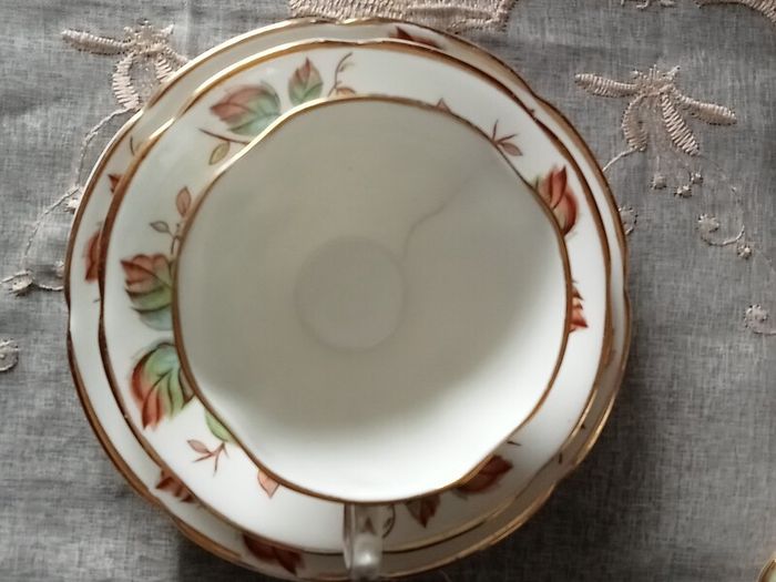 Royal Tara Fine Bone China Part Tea set