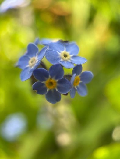 Various original macro nature photos on foam tiles