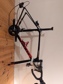 giant tcr
