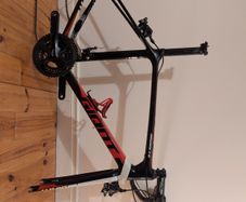 giant tcr