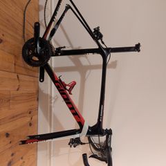 giant tcr