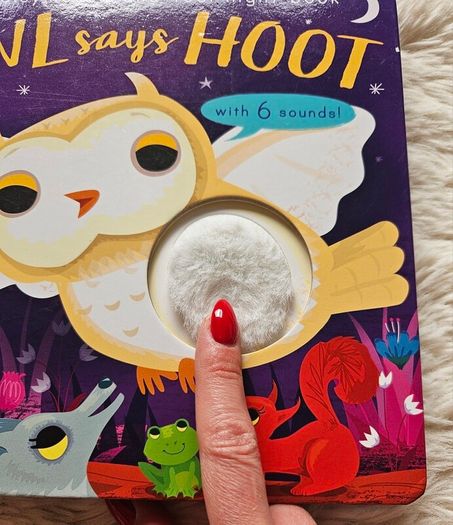Owl Says Hoot - A Noisy Touch-and-Feel Night Book