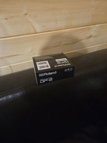 Roland Pedal DP2
