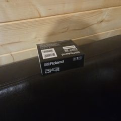 Roland Pedal DP2