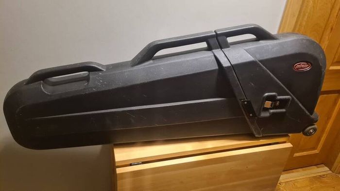 SKB Bass Safe