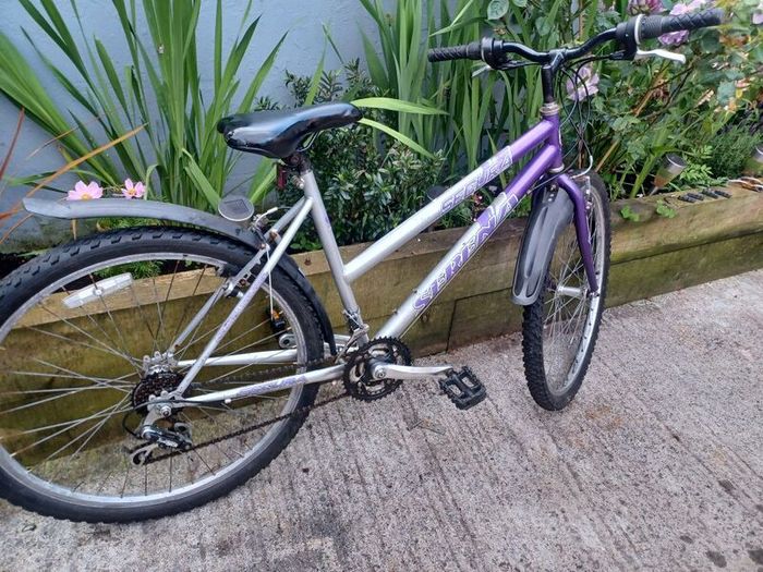 Womans mountain bike