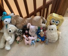 teddies