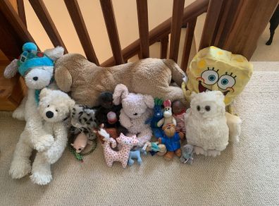 teddies