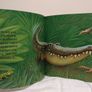 Here Comes the Crocodile by Kathryn White Image 4