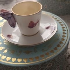 Wedgewood Harlequin Collection Cup and Saucer