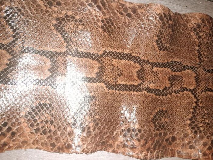 Genuine python hide 4m long