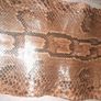Genuine python hide 4m long Image 3