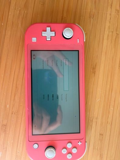 Nintendo switch lite