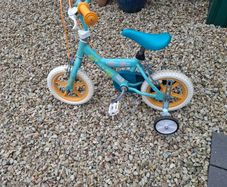 childrens bike 12 inch moana bike