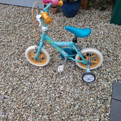 childrens bike 12 inch moana bike