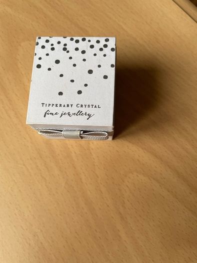 Tipperary Sliver Earrings