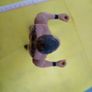 Wrestlers WWE Randy Orton Action Figure Image 7