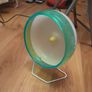 hamster exercise wheel Image 3
