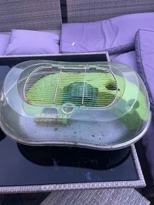 Free Hamster Home