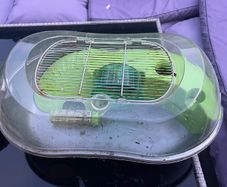 Free Hamster Home