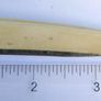 Antique Straight Razor Image 9