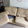 Free!- 3 seater sofa real leather hardwood Image 7