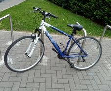 Hybrid Bike